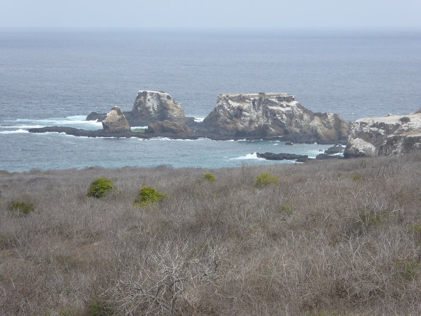 Humpback whale season begins