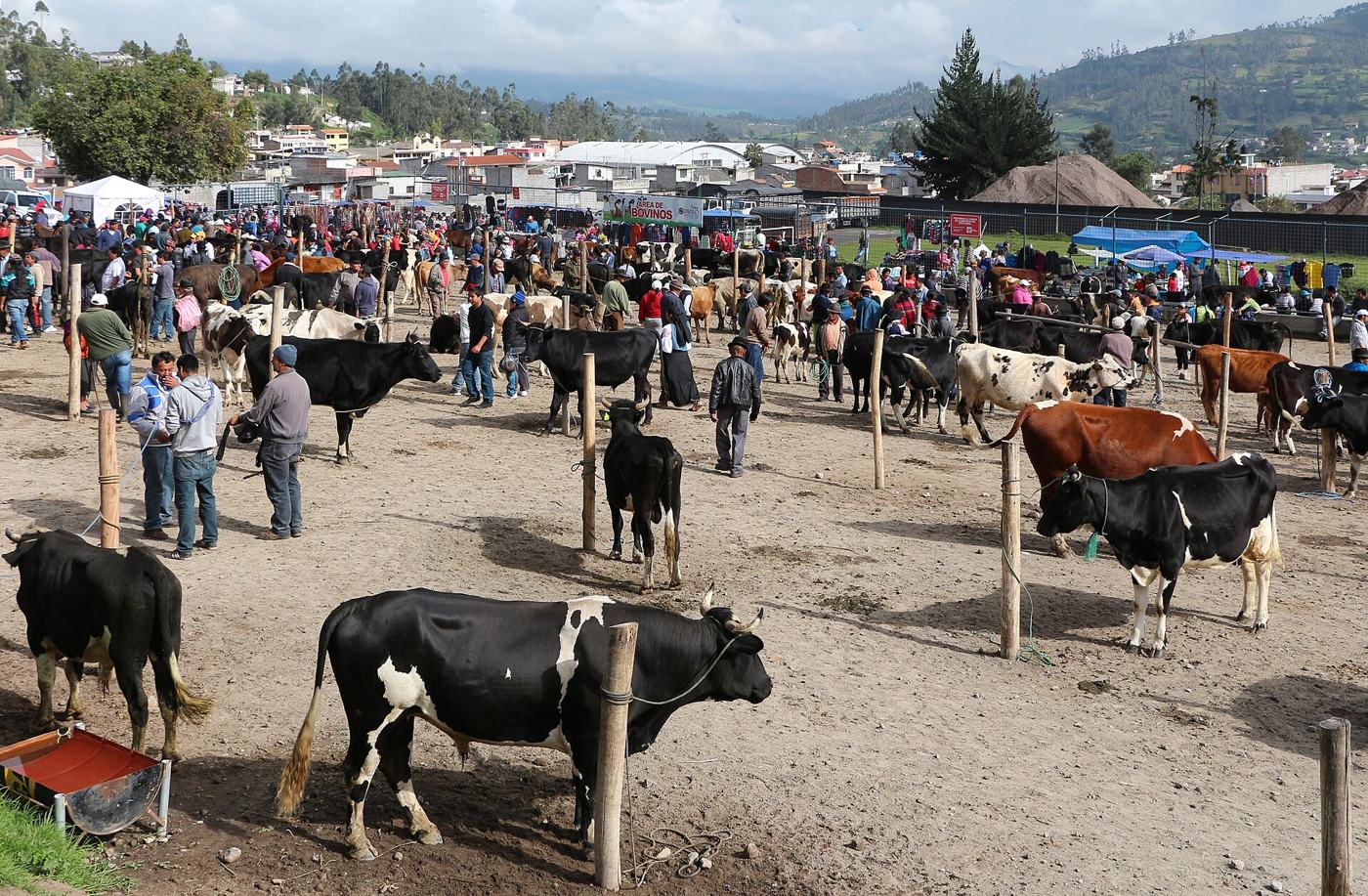 The Saturday market in Otavalo